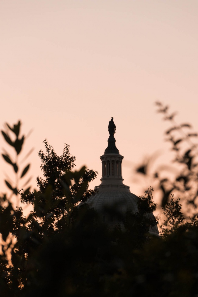 us capitol, sunrise, capitol building, washington dc, early morning, us botanical garden, leafs, plants, silhouette, architecture