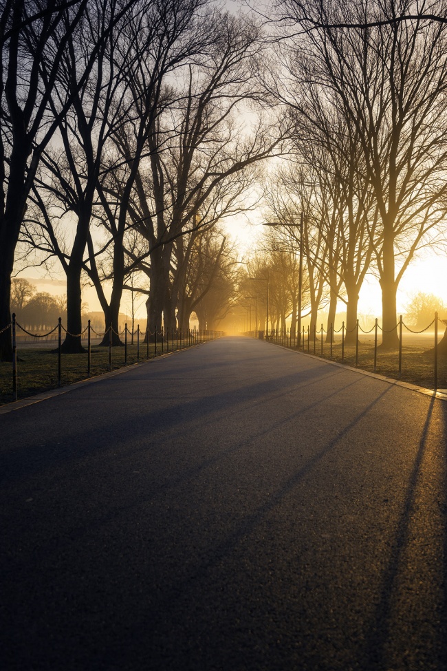 lincoln memorial reflecting pool, walking path, trees, shadows, sunrise, early morning, fog, warm light, shadows, winter