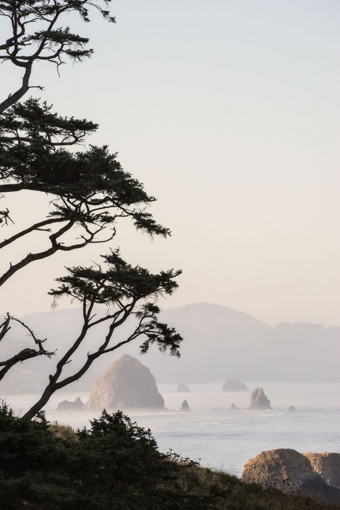 ecola state park, early morning, cannon beach, oregon, haystack rock, tree, branches, seaside, ecola state park photos, ecola state park crescent trail, oregon, travel, visit