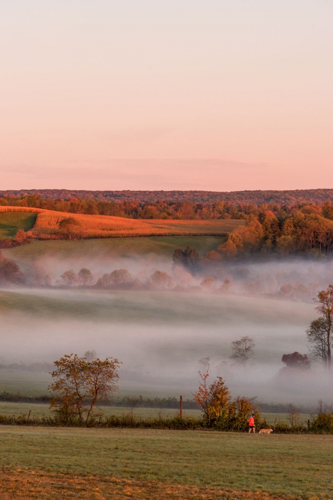 fog, mill run, southwest, ohioplye state park, cucumber falls, waterfall, hills, trese, fall, autumn,