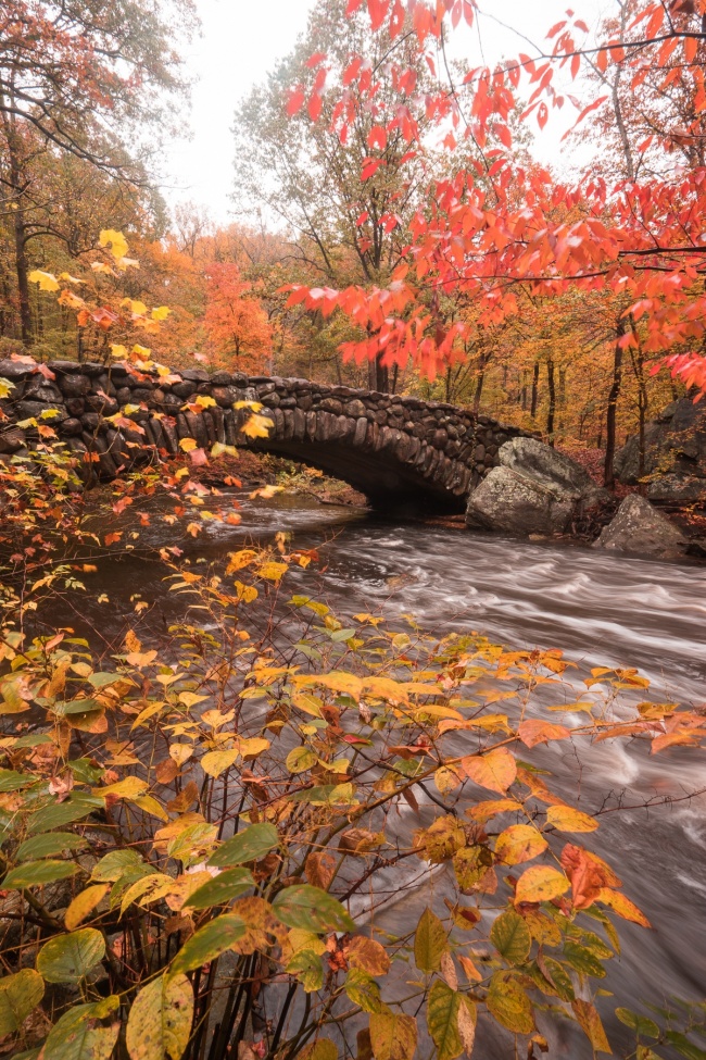 boulder bridge, rock creek park, washington dc, fall colors, autumn, ross drive bridge, potomac river