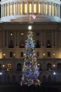 us capitol, washington dc, christmas tree, capitol christmas tree, lighting ceremony, merry christmas, happy holidays