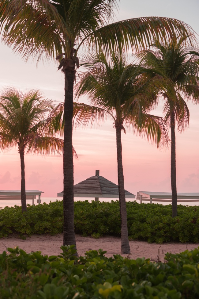 turks and caicos, beach, sunset, palm trees, caribbean, travel, island, island life, Grace Bay, Providenciales, provo,