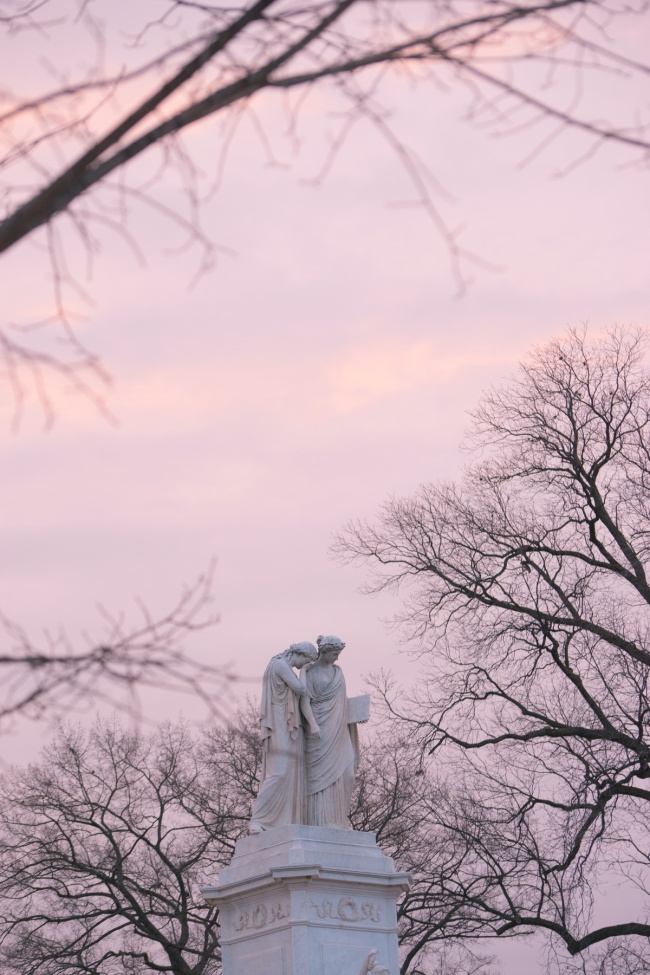 us capitol, peace monument, sunrise, bare trees, branches, framing, national mall, washington dc, congress, government