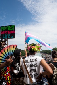 commitment march on washington, al sharpton walk, national action network, march, social justice, al sharpton,national mall,march, protest, rally, black lives matter, blm, black trans lives matter, trans lives,