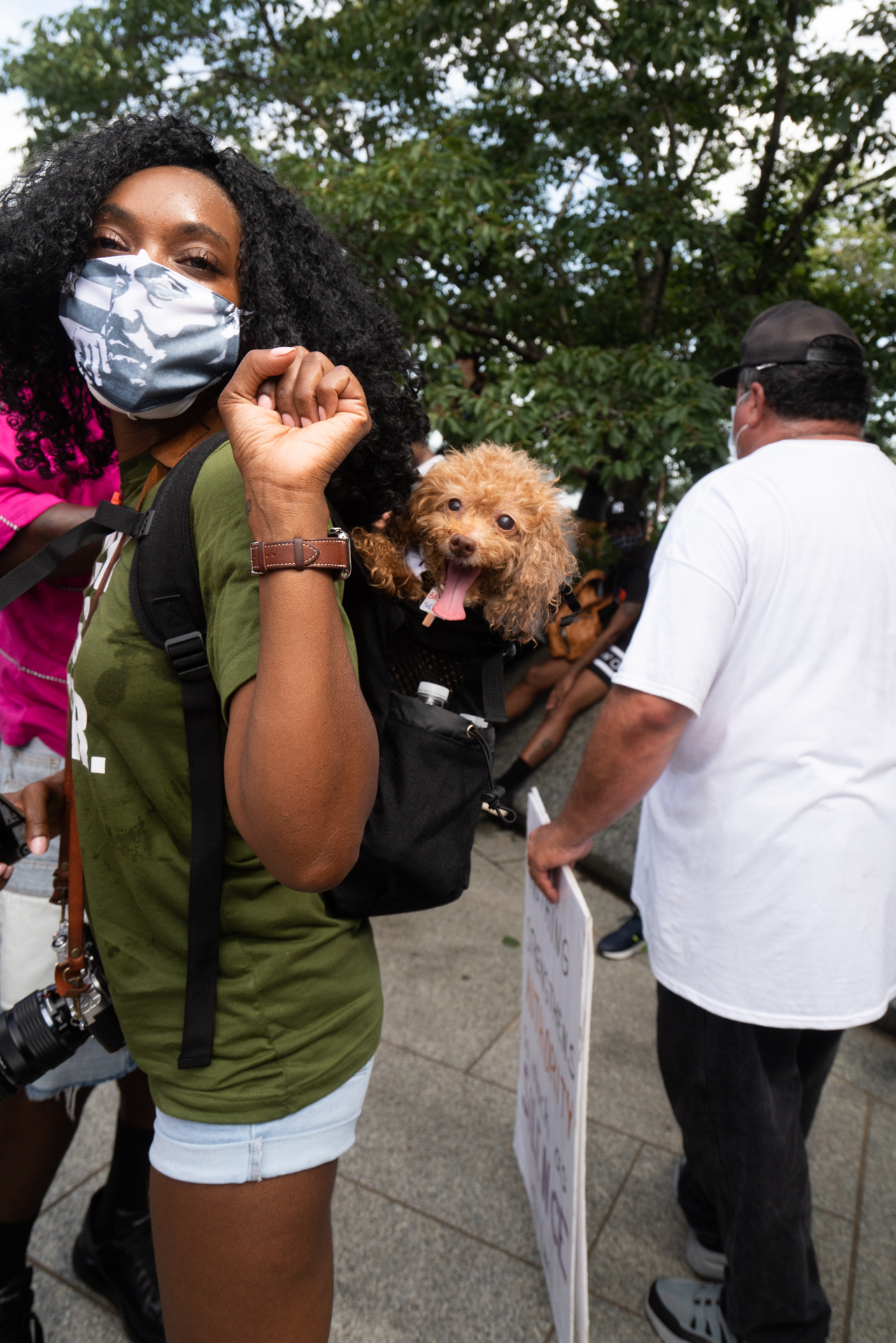 commitment march on washington, al sharpton walk, national action network, march, social justice, al sharpton, toy poodle, dogs, washington dc, tidal basin, martin luther king jr memorial, national mall
