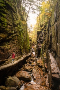 new england, new hampshire, franconia notch, flume gorge, autumn, cannon mountain, NH state park, white mountain national forest, hike, trail, to-do