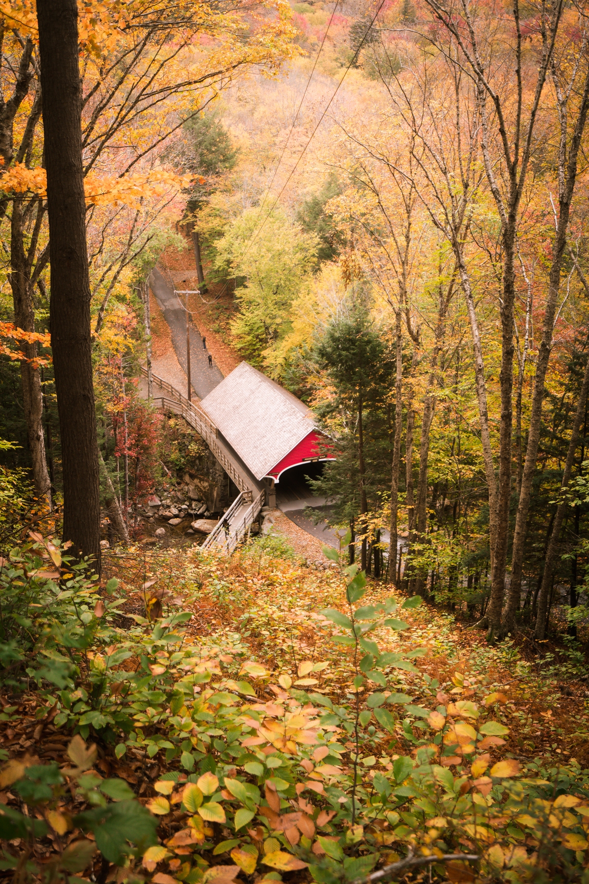 new england, new hampshire, white mountains, national forest, flume gorge, covered bridge, franconia notch