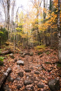 new england, new hampshire, crawford notch, mount willard, trail, hike, carroll county, white mountains, white mountains national forest