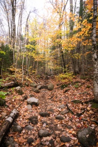 new england, new hampshire, crawford notch, mount willard, trail, hike, carroll county, white mountains, white mountains national forest