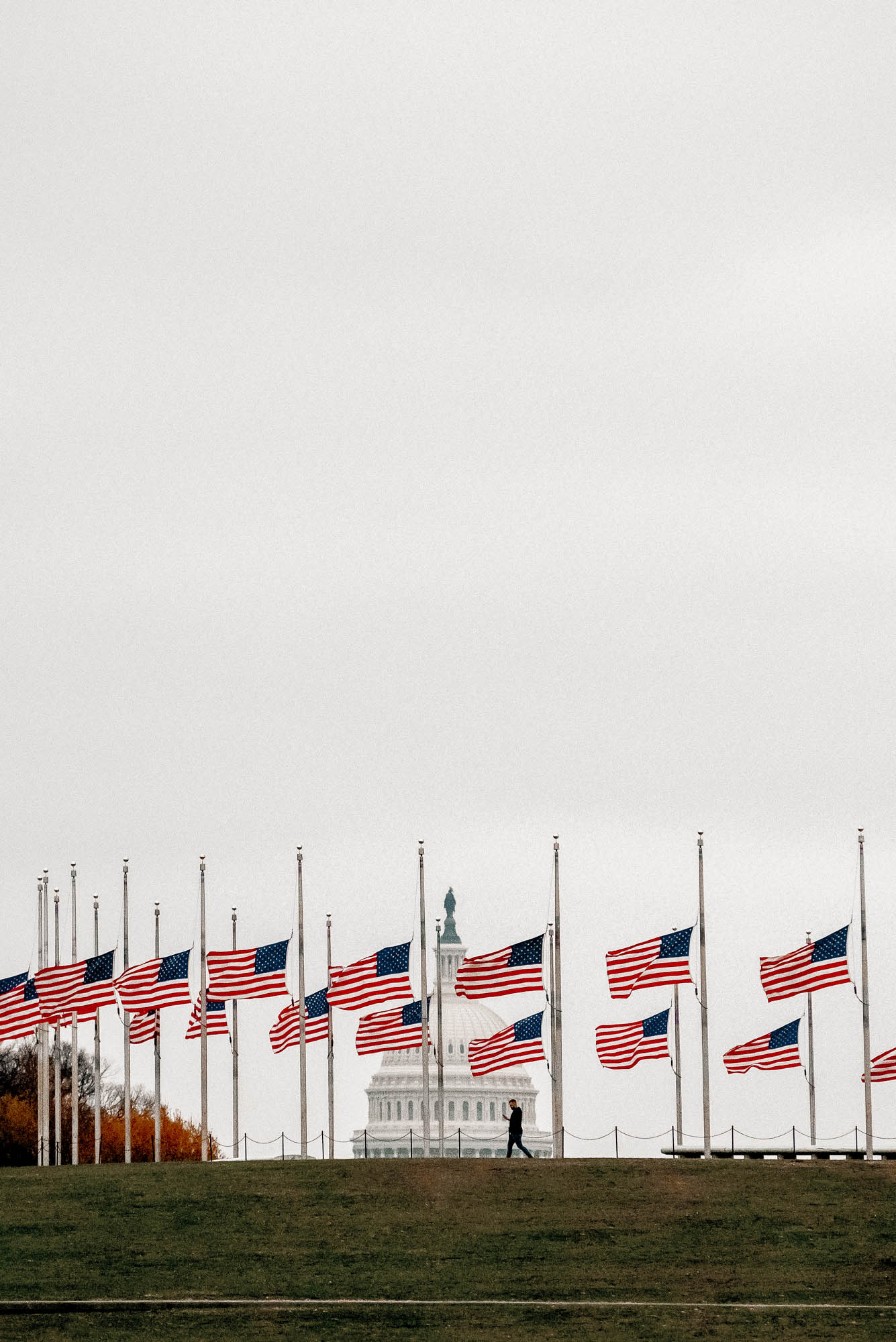 american flags, washington monument, us capitol,
